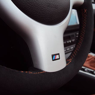 E46 Lower Steering Wheel Trim